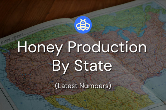Honey Production By State (Latest Numbers)