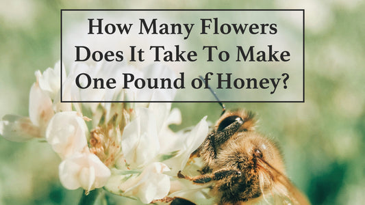 How Many Flowers Does It Take To Make One Pound of Honey?