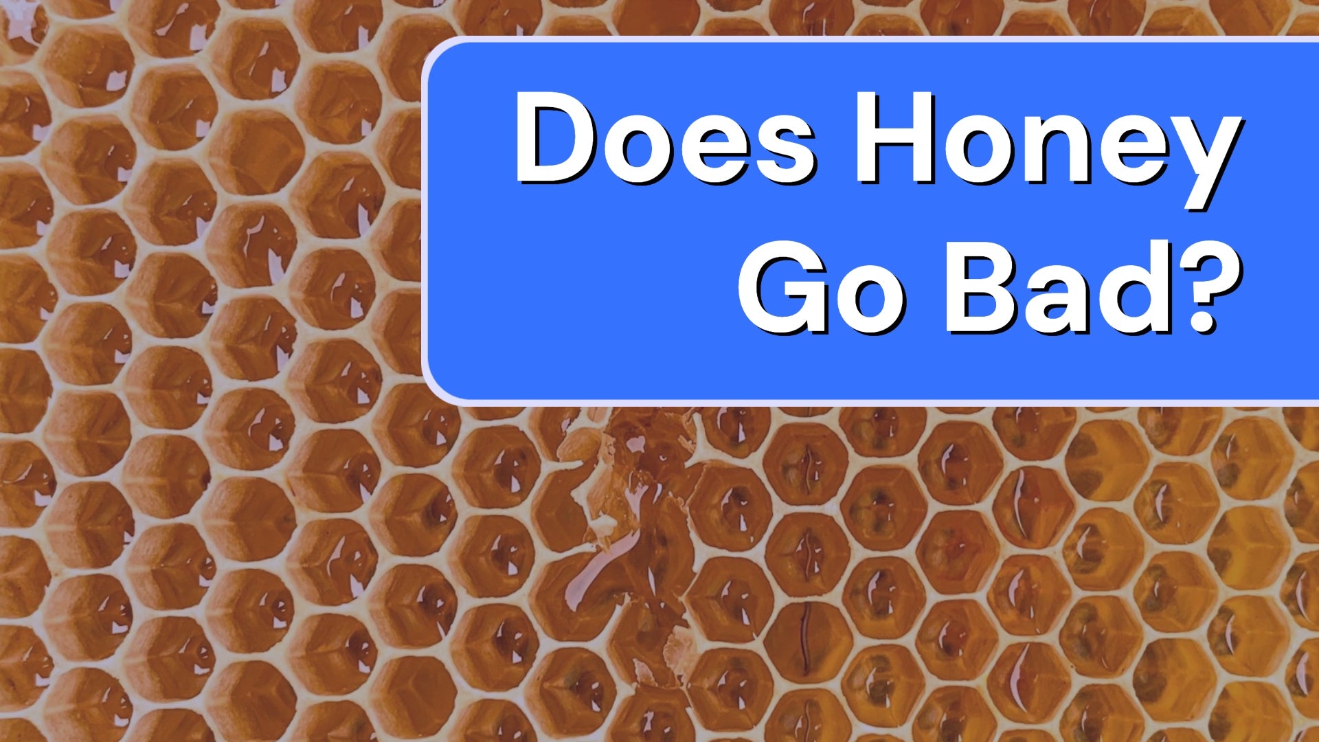 Does Honey Go Bad?