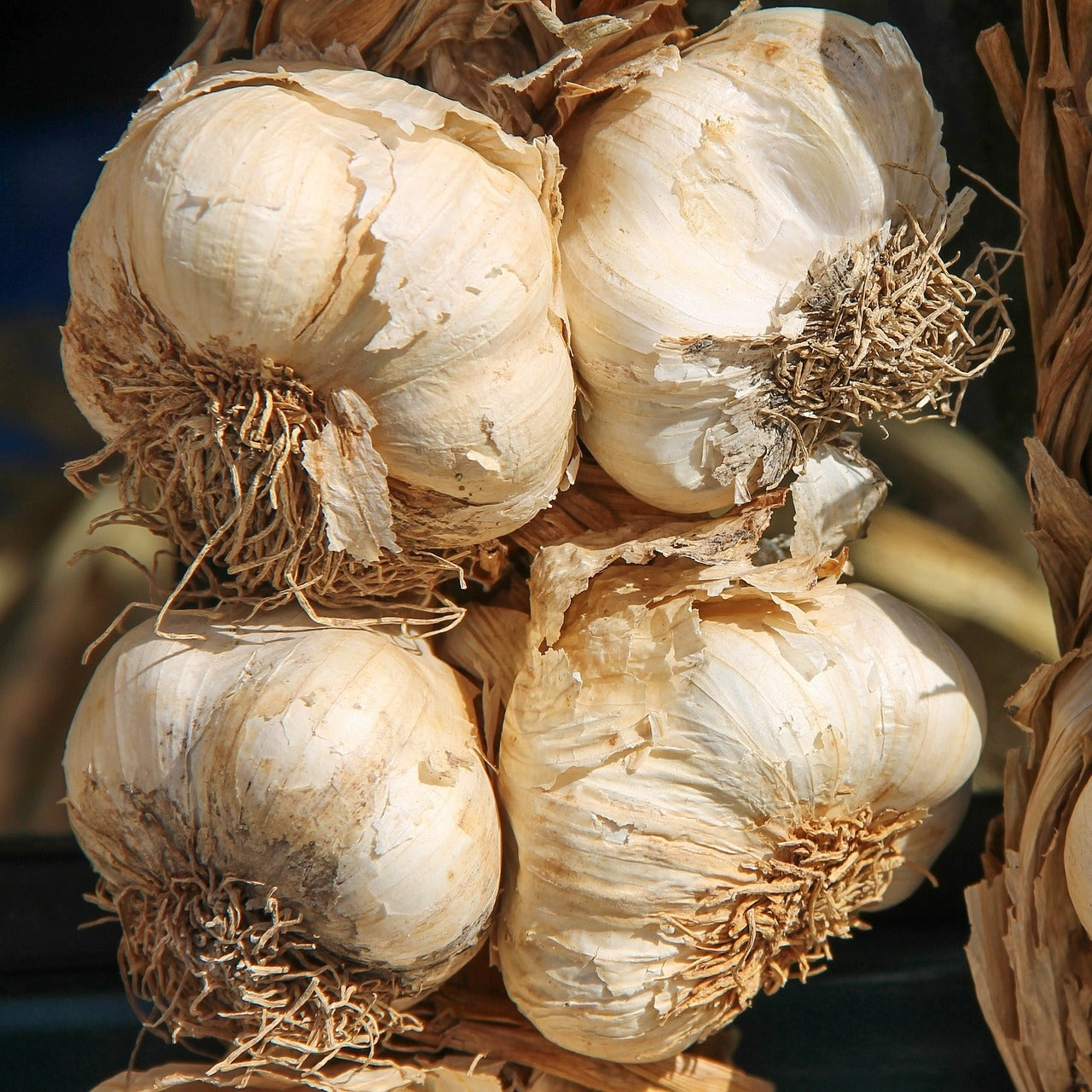 Four bulbs of garlic.