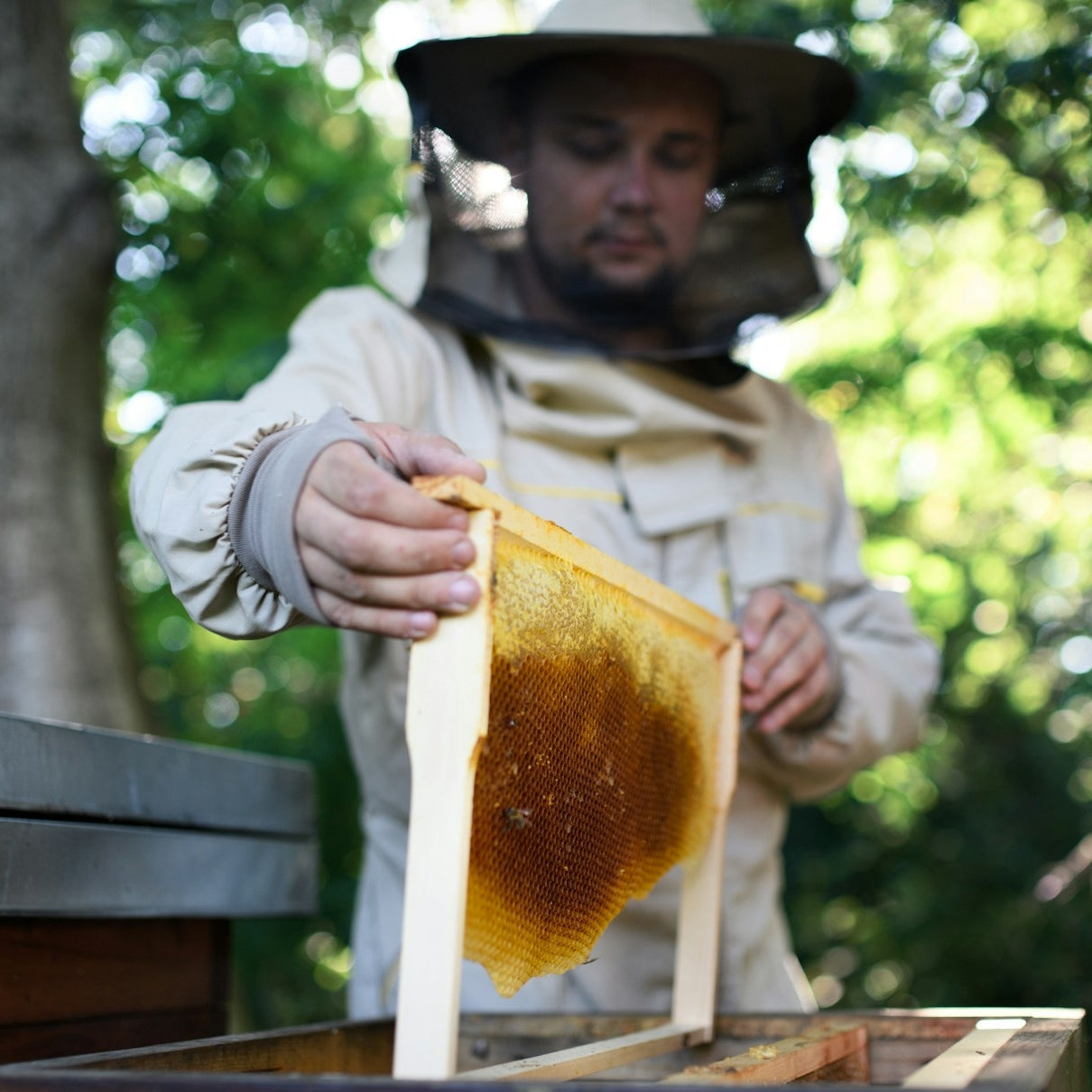 A man making local honey that dogs can eat.